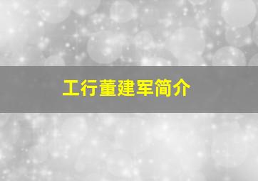 工行董建军简介