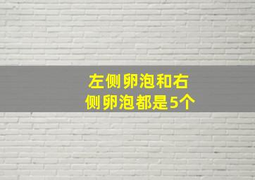 左侧卵泡和右侧卵泡都是5个