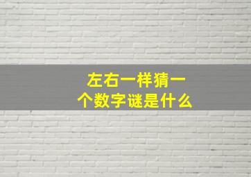 左右一样猜一个数字谜是什么