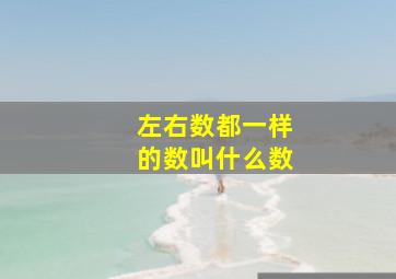 左右数都一样的数叫什么数