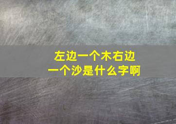 左边一个木右边一个沙是什么字啊