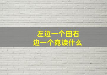 左边一个田右边一个宛读什么