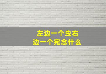 左边一个虫右边一个宛念什么