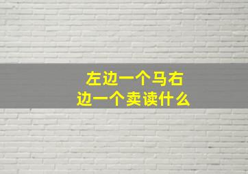 左边一个马右边一个卖读什么