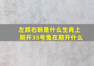 左顾右盼是什么生肖上期开35号兔在期开什么