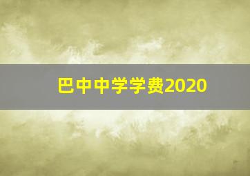 巴中中学学费2020