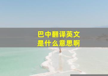 巴中翻译英文是什么意思啊