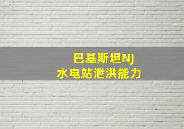 巴基斯坦NJ水电站泄洪能力