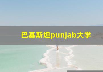 巴基斯坦punjab大学