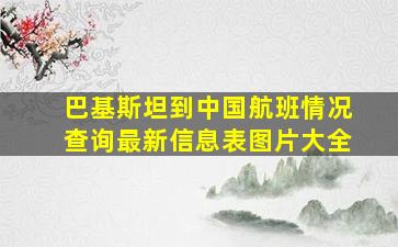 巴基斯坦到中国航班情况查询最新信息表图片大全