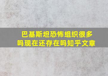 巴基斯坦恐怖组织很多吗现在还存在吗知乎文章