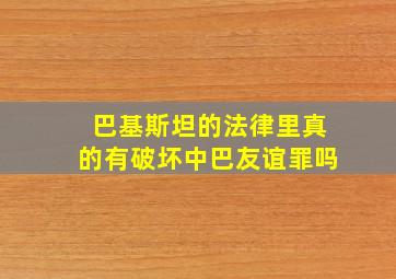 巴基斯坦的法律里真的有破坏中巴友谊罪吗