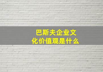 巴斯夫企业文化价值观是什么