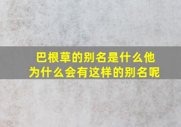 巴根草的别名是什么他为什么会有这样的别名呢