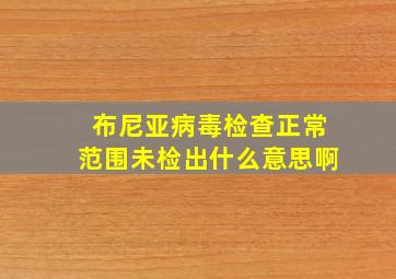 布尼亚病毒检查正常范围未检出什么意思啊