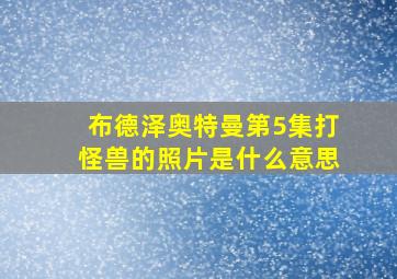 布德泽奥特曼第5集打怪兽的照片是什么意思