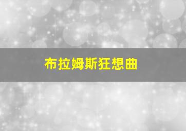 布拉姆斯狂想曲