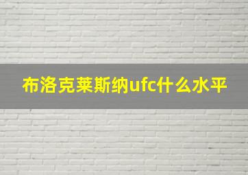 布洛克莱斯纳ufc什么水平