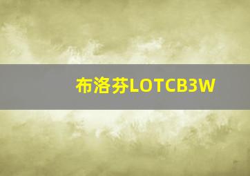 布洛芬LOTCB3W