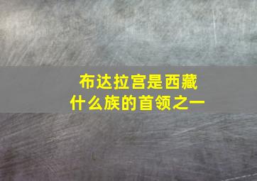 布达拉宫是西藏什么族的首领之一