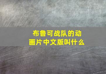 布鲁可战队的动画片中文版叫什么