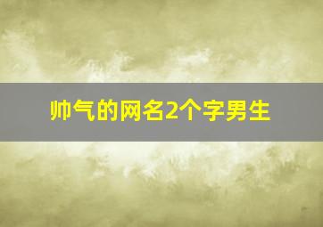 帅气的网名2个字男生