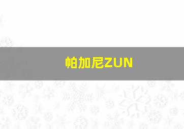 帕加尼ZUN