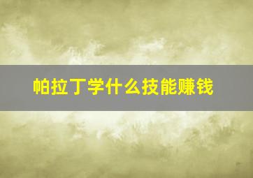 帕拉丁学什么技能赚钱