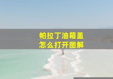 帕拉丁油箱盖怎么打开图解