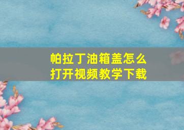 帕拉丁油箱盖怎么打开视频教学下载