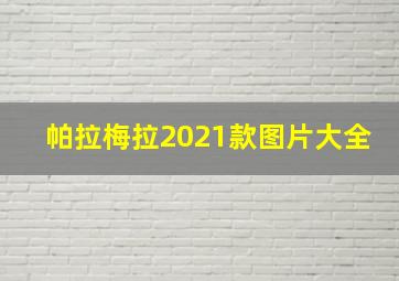 帕拉梅拉2021款图片大全