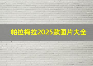 帕拉梅拉2025款图片大全