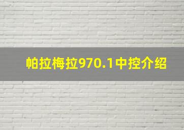 帕拉梅拉970.1中控介绍