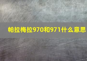 帕拉梅拉970和971什么意思