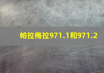 帕拉梅拉971.1和971.2