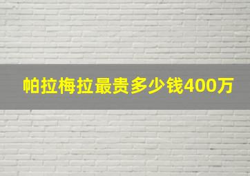 帕拉梅拉最贵多少钱400万