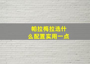 帕拉梅拉选什么配置实用一点