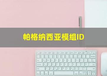 帕格纳西亚模组ID