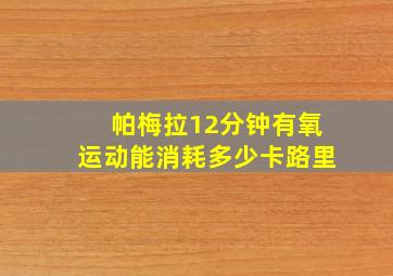 帕梅拉12分钟有氧运动能消耗多少卡路里