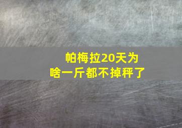 帕梅拉20天为啥一斤都不掉秤了