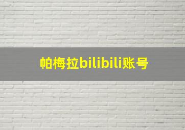 帕梅拉bilibili账号