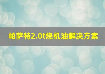 帕萨特2.0t烧机油解决方案