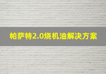 帕萨特2.0烧机油解决方案