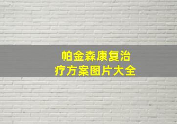 帕金森康复治疗方案图片大全