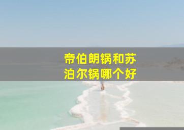 帝伯朗锅和苏泊尔锅哪个好