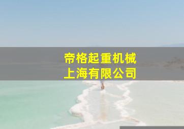 帝格起重机械上海有限公司