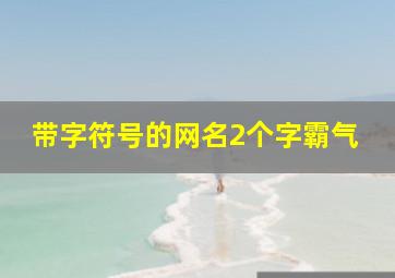 带字符号的网名2个字霸气