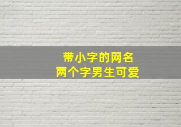 带小字的网名两个字男生可爱