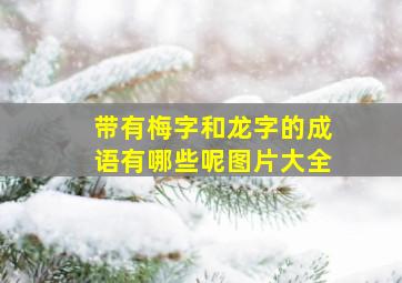 带有梅字和龙字的成语有哪些呢图片大全