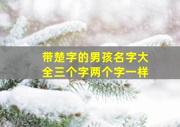 带楚字的男孩名字大全三个字两个字一样